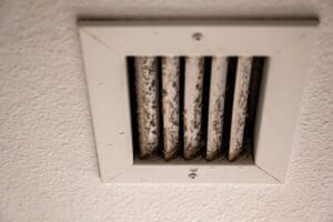 mold on air conditioning air vents